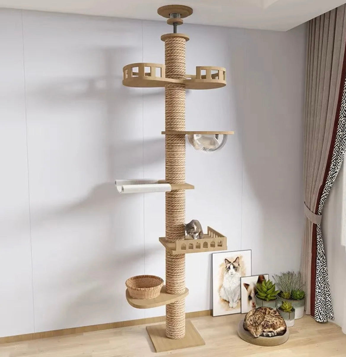 Arbre à chat télescopique du sol au plafond – Tour d’escalade design avec bulle acrylique