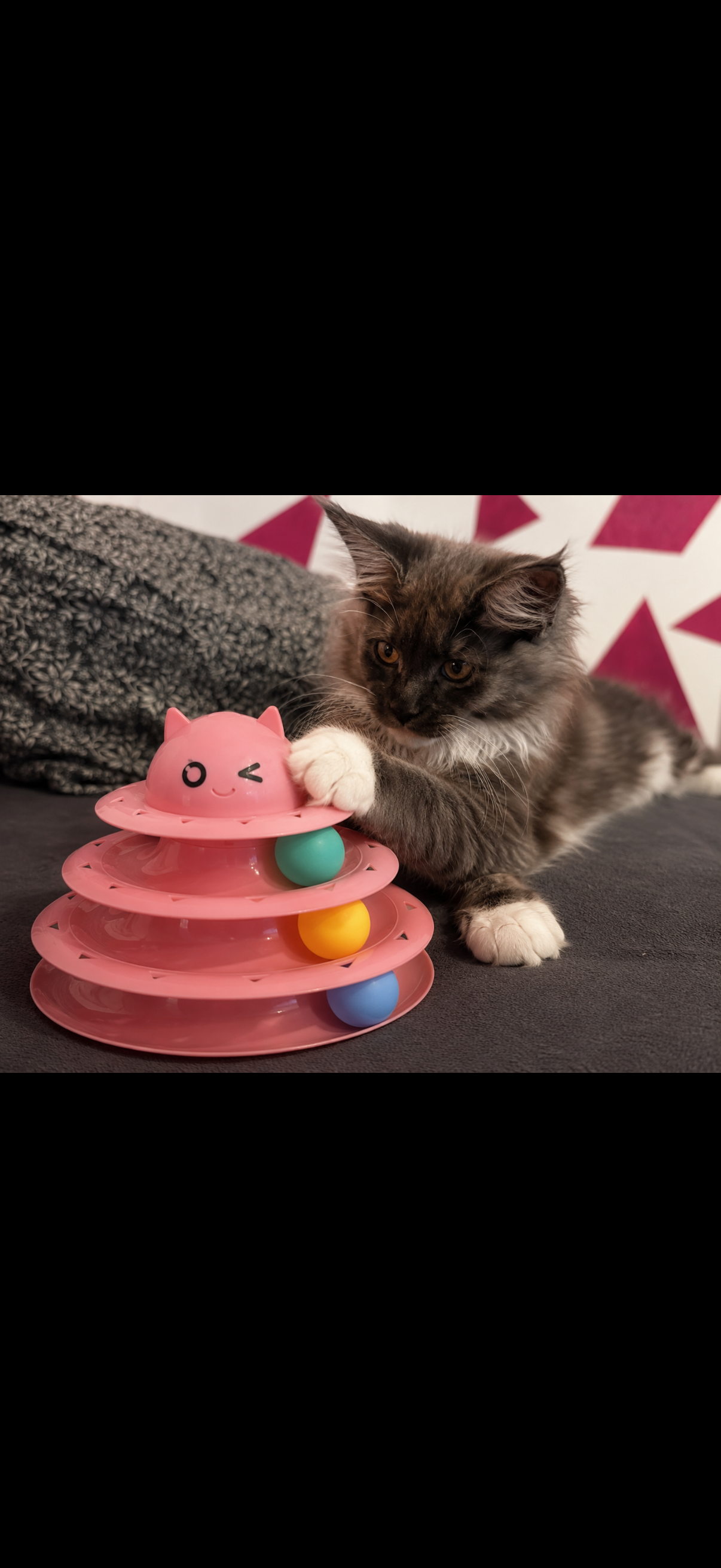 tour de jeux interactif 3 étage pour chat