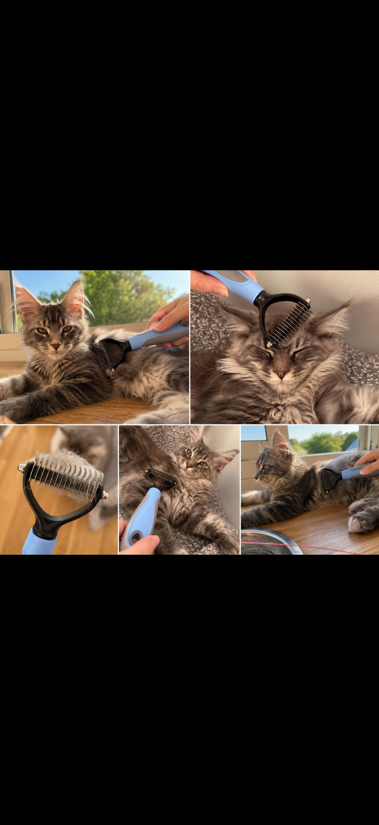 ✨ Peigne Démêlant 2-en-1 pour Chien et Chat | Retire les Nœuds & Poils Morts