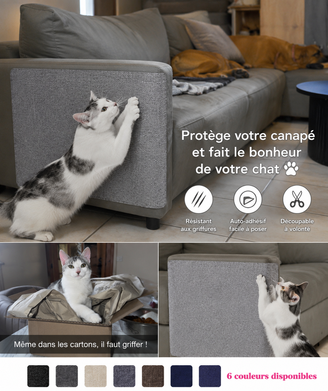 Tapis Griffoir Autocollant