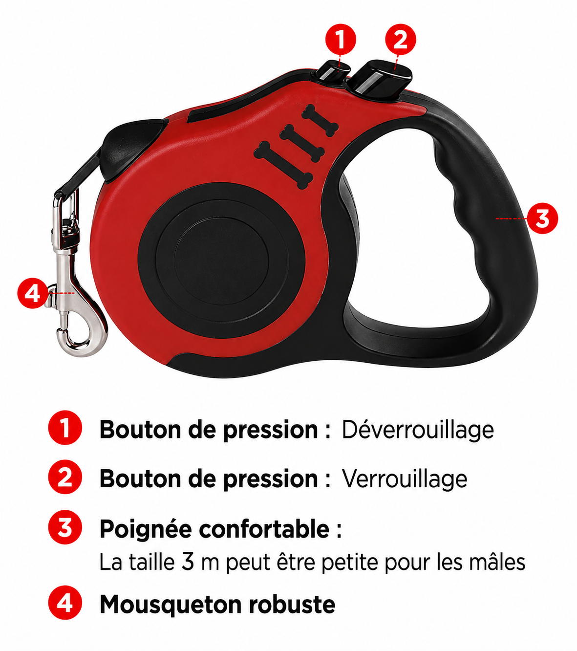 🐱 Laisse Rétractable Automatique pour Chat – 3 m ou 5 m – Robuste et Sécurisée