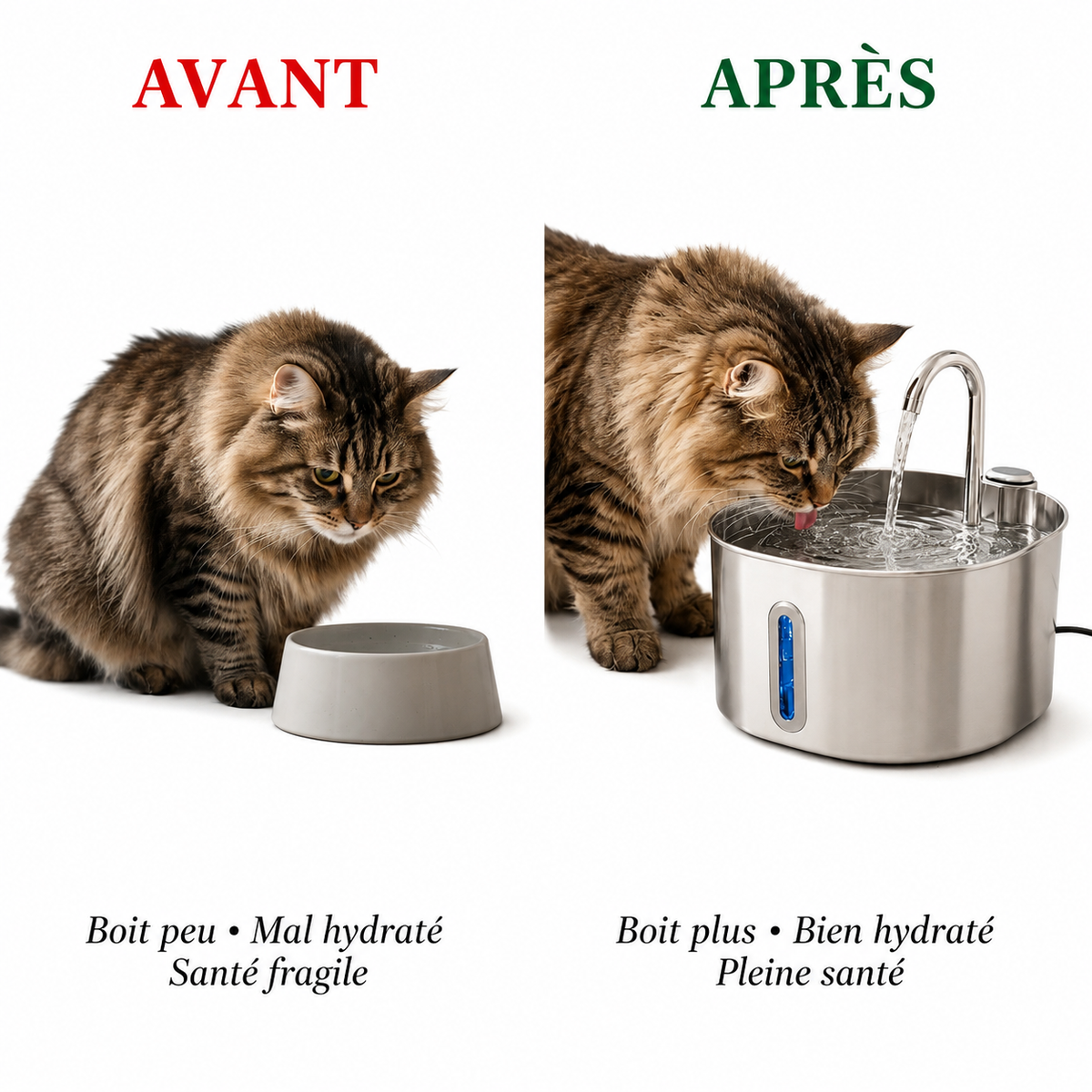 Fontaine à Eau Inox 2,2 L – Eau Fraîche & Filtrée pour Chat