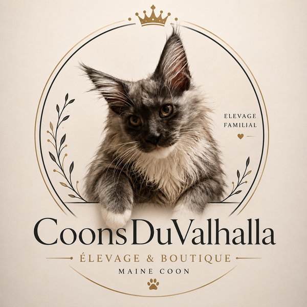 🛍️ CoonsDuValhalla