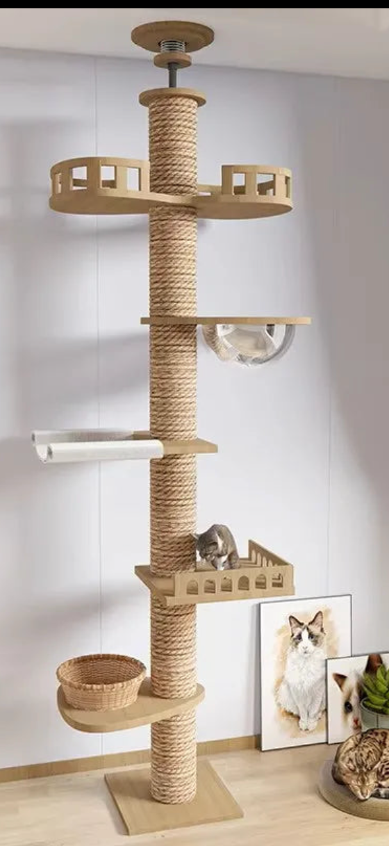 Arbre à chat télescopique du sol au plafond – Tour d’escalade design avec bulle acrylique