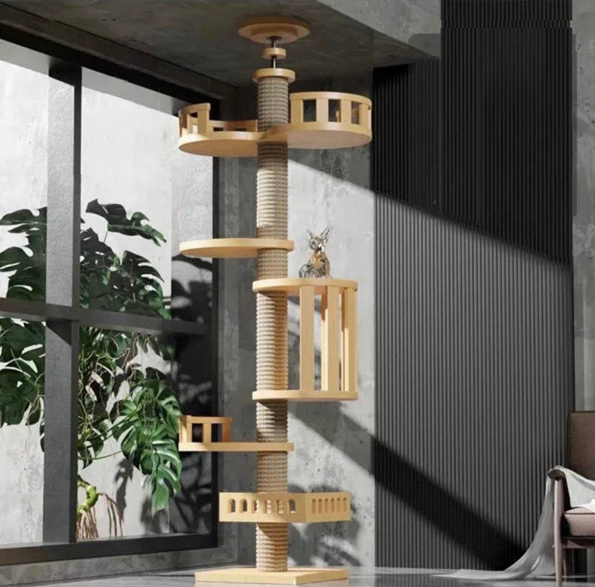 Arbre à chat télescopique du sol au plafond – Tour d’escalade design avec bulle acrylique