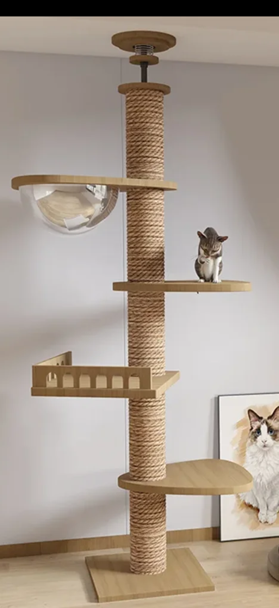Arbre à chat télescopique du sol au plafond – Tour d’escalade design avec bulle acrylique