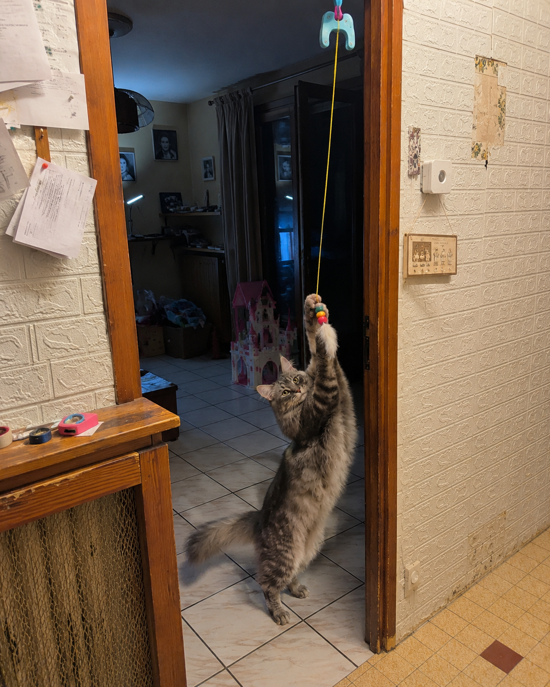 🐱 Jouet Interactif Électrique à Suspendre – Divertissement Automatique pour Chat
