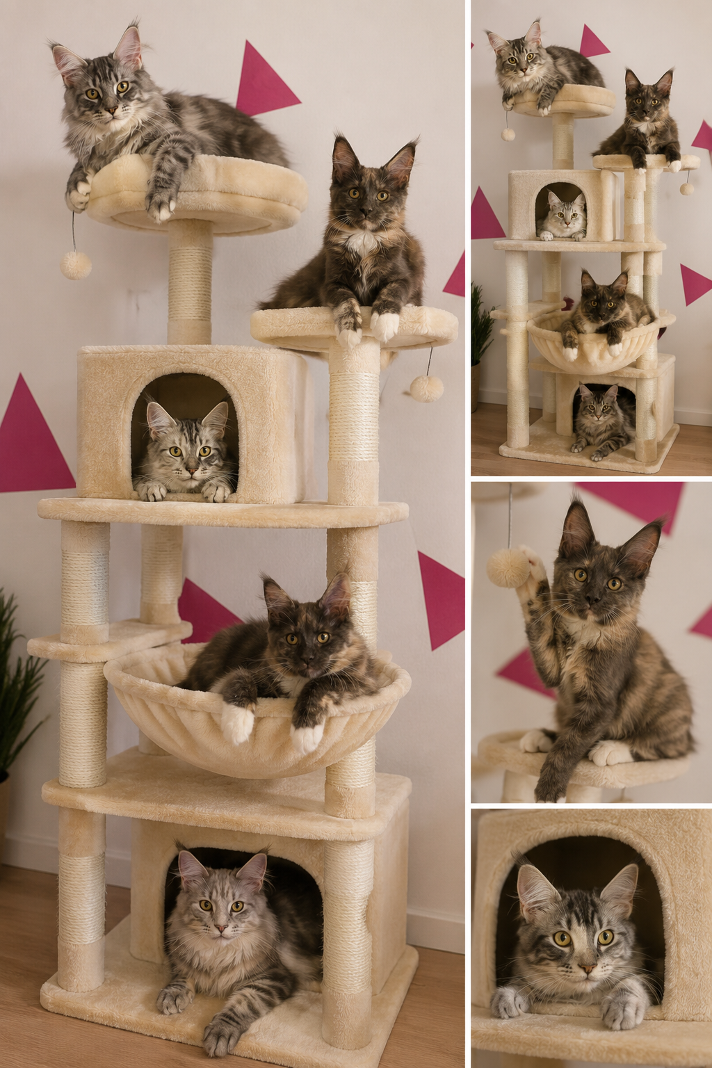 🐱 Titre

Arbre à Chat XXL Multi-Niveaux avec Hamac, Niche, Plateformes et Griffoirs
