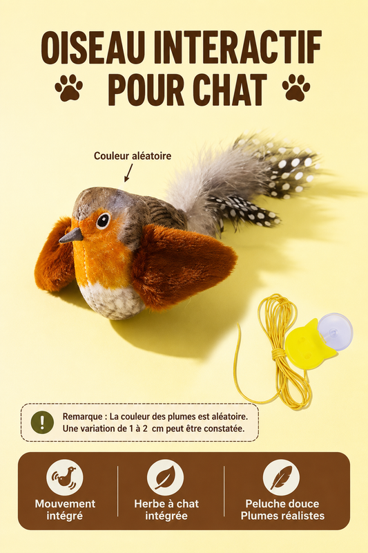 Oiseau interactif pour chat avec son réaliste et corde élastique – Jouet stimulant