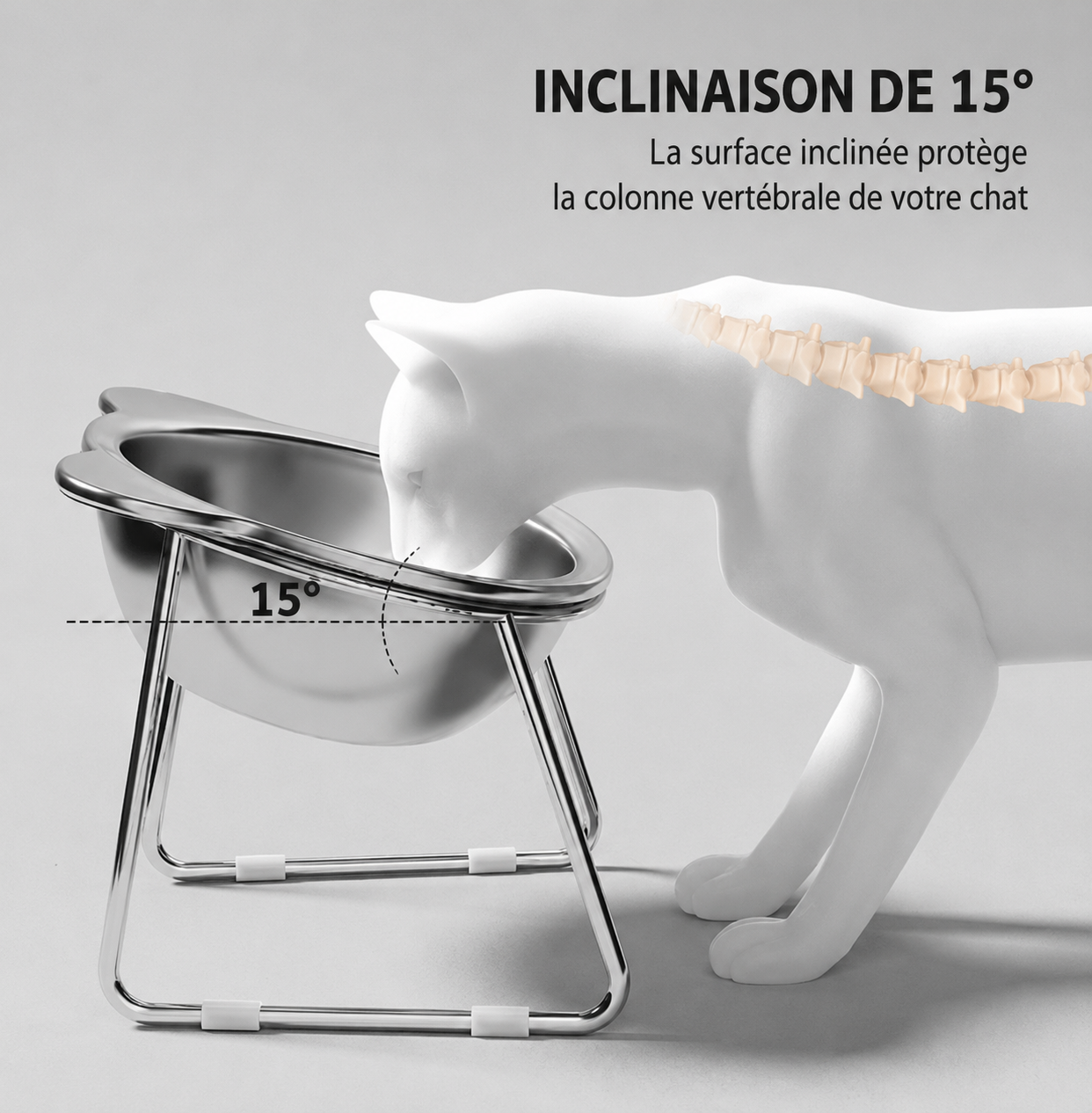 🐱 Gamelle Surélevée Inclinée en Inox 304 – Confort Digestif pour Chat