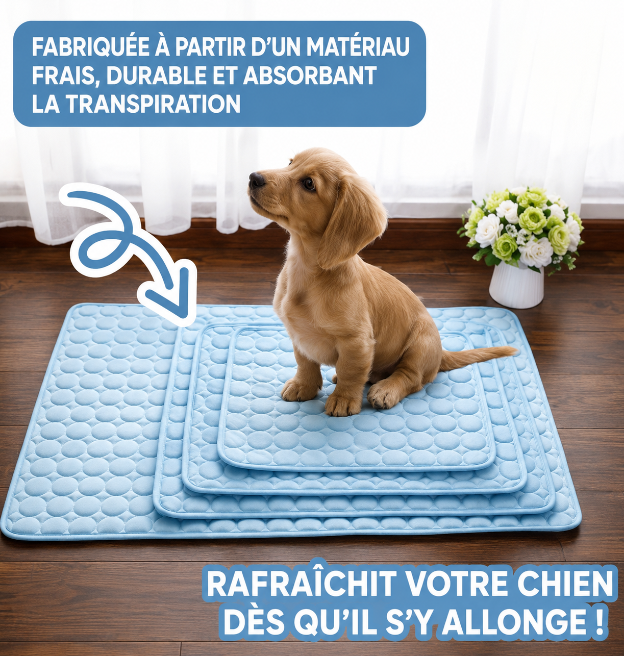 tapis rafraichissement pour chien et chat ideal en été