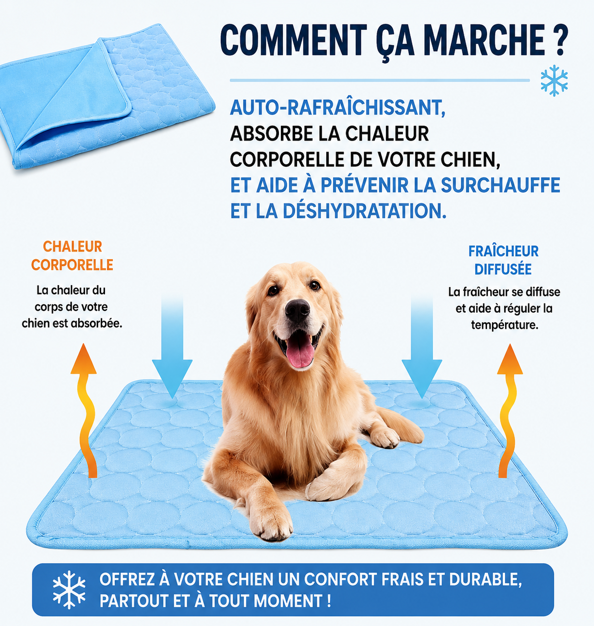 tapis rafraichissement pour chien et chat ideal en été