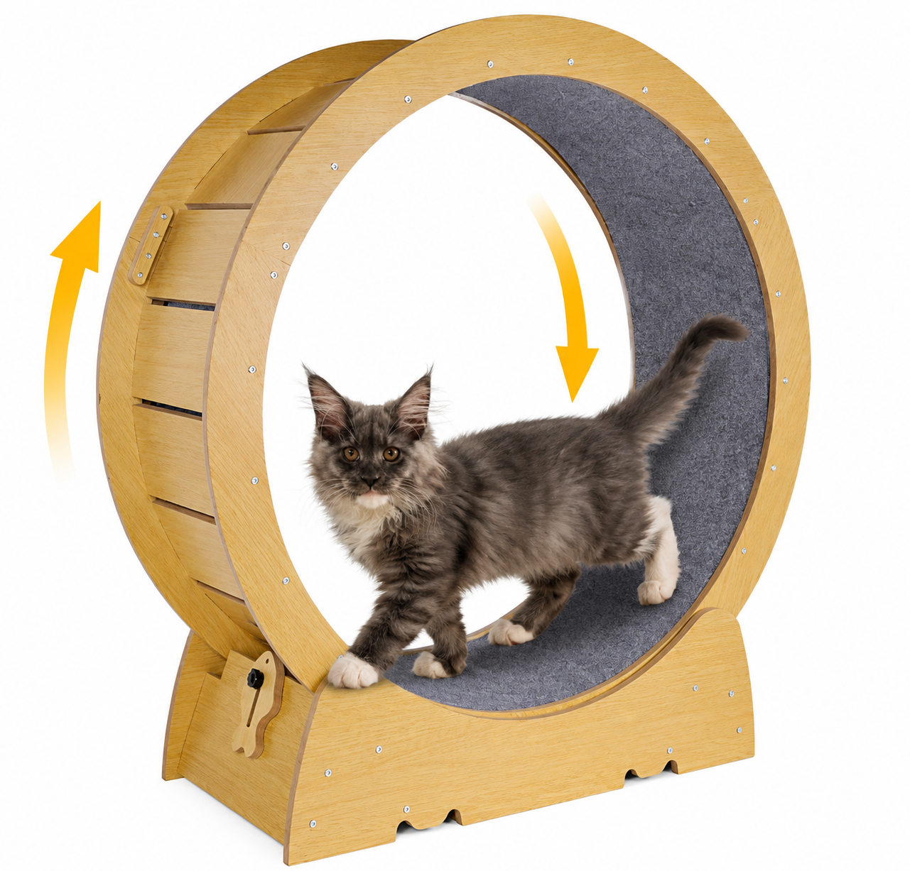 Roue d’exercice en bois pour chat – Tapis amovible, silencieuse et sécurisée
