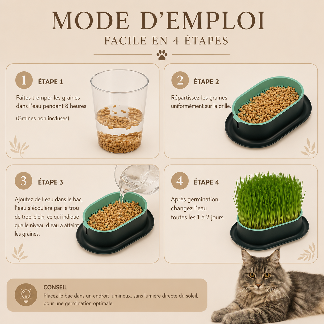 Kit de Culture d’Herbe à Chat Hydroponique – Bac de Germination Réutilisable