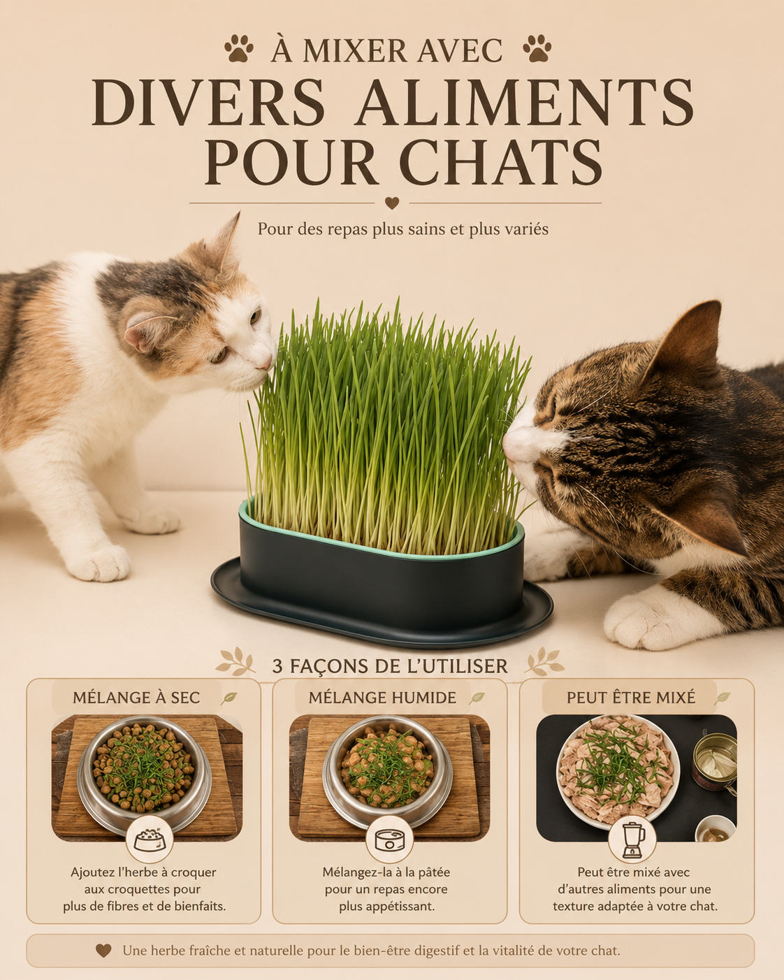 Kit de Culture d’Herbe à Chat Hydroponique – Bac de Germination Réutilisable