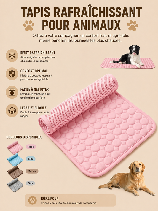 Tapis Rafraîchissant pour Chat – Fraîcheur Instantanée Sans Électricité