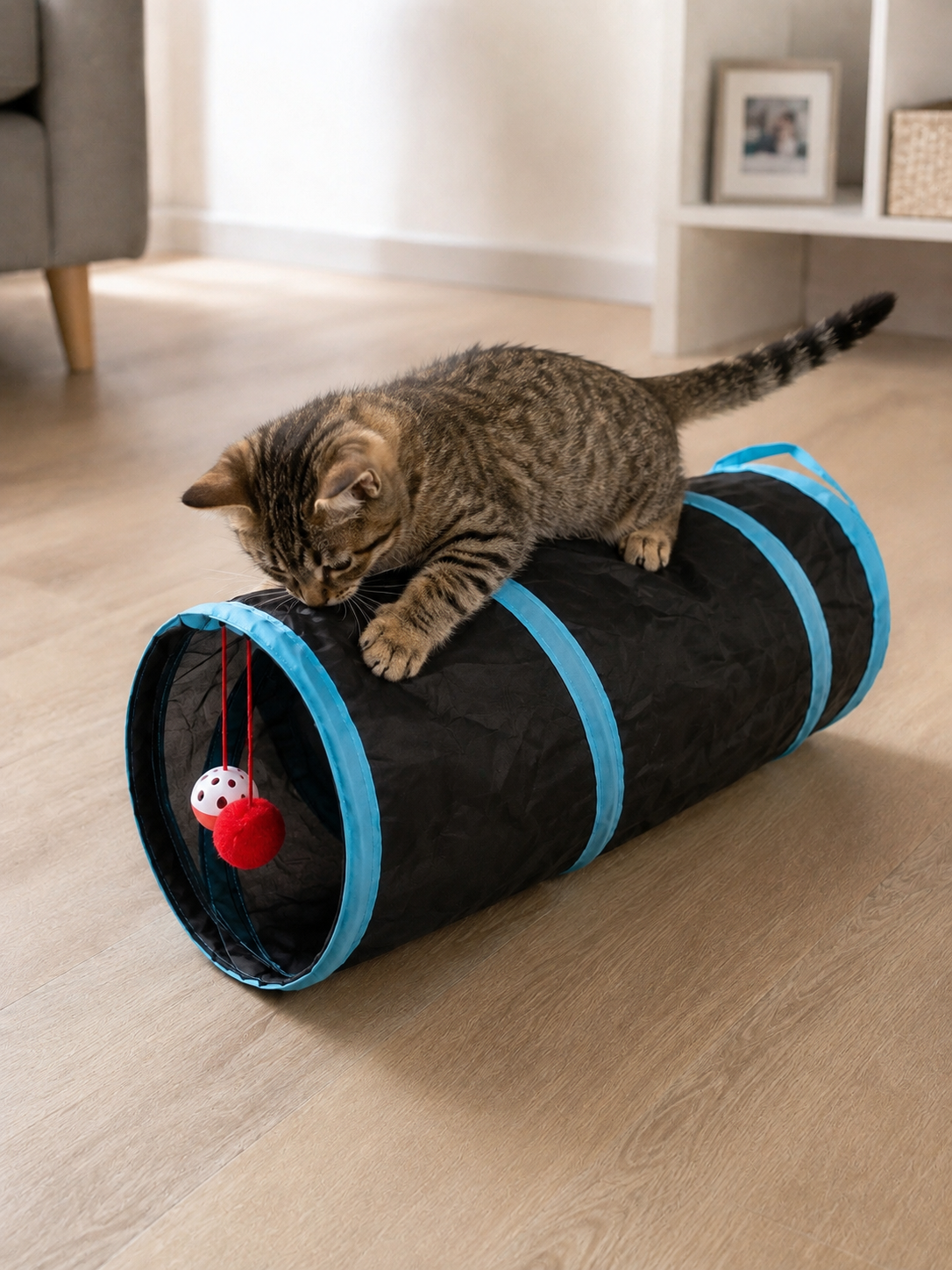 Pack Maine Coon Fun — Balles + Tunnel