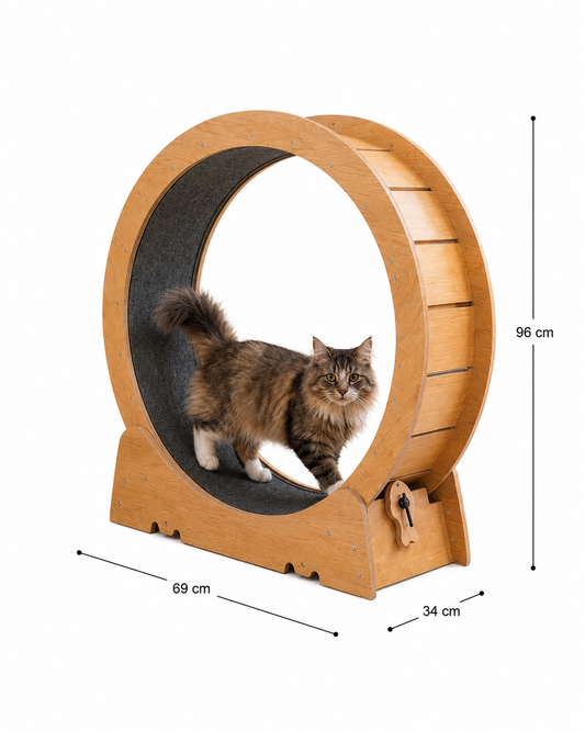 Roue d’exercice en bois
