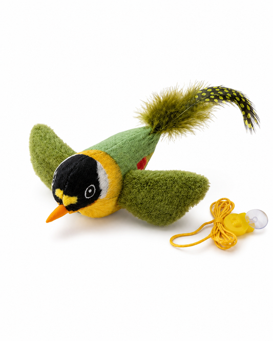 Oiseau interactif pour chat