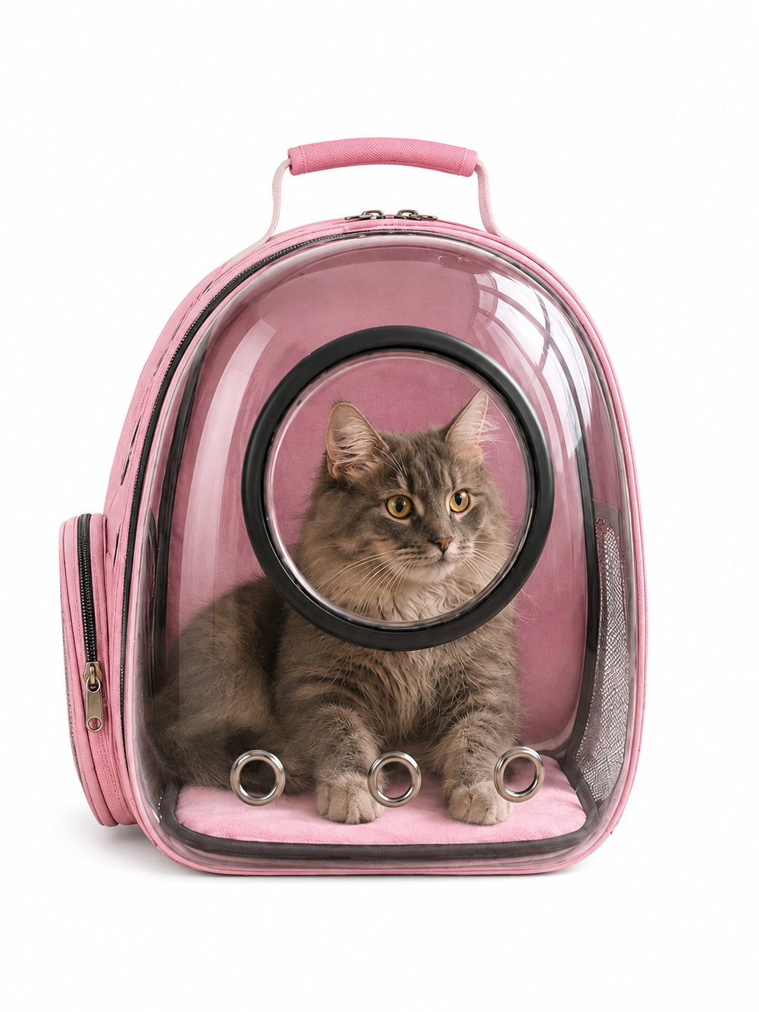 Sac à Dos de Transport pour Chat – Fenêtre Panoramique & Confort XXL