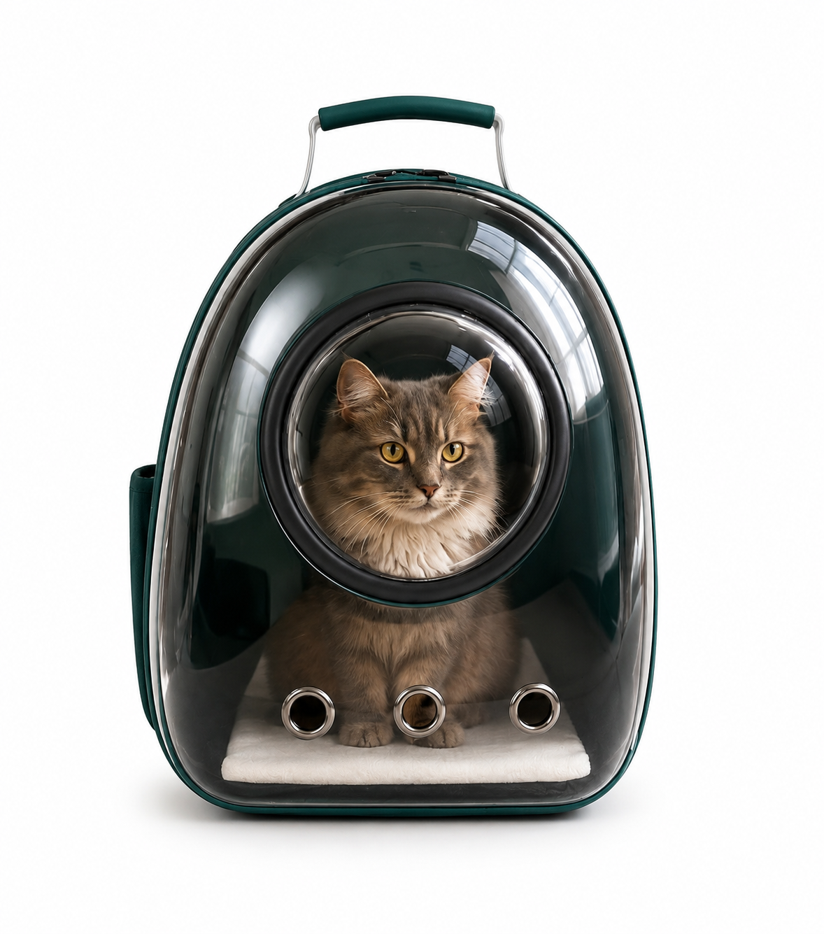 Sac à Dos de Transport pour Chat – Fenêtre Panoramique & Confort XXL