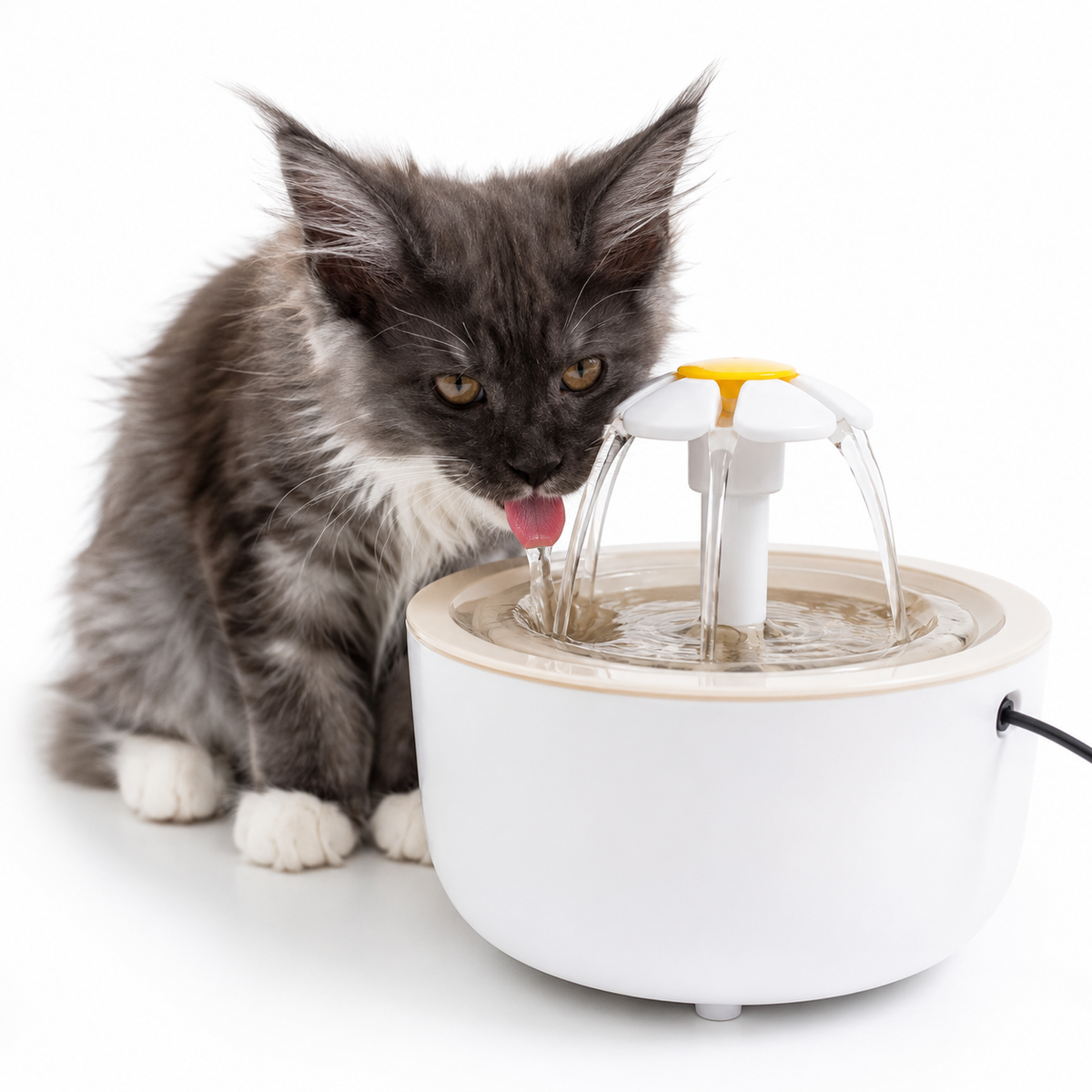 Fontaine à Eau pour Chat 1,2 L Filtrante, Silencieuse & USB