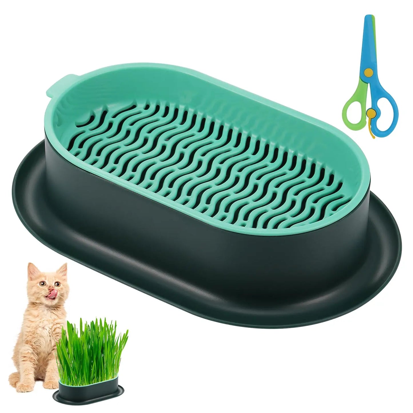 Kit de Culture d’Herbe à Chat Hydroponique – Bac de Germination Réutilisable