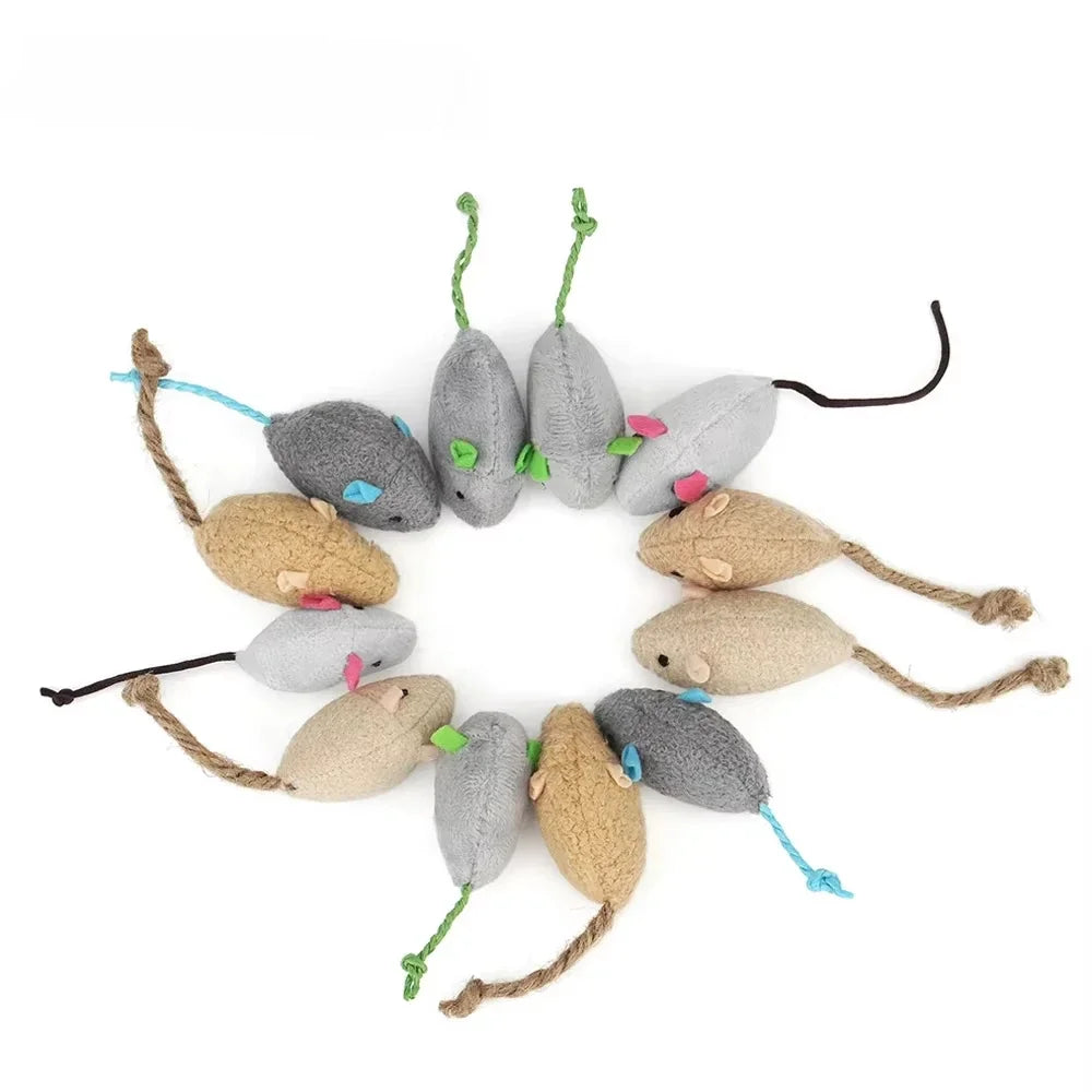 Lot de 5 souris pour chat avec herbe à chat et grelot – Jouets interactif