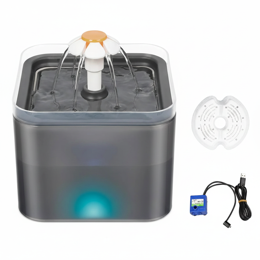 Fontaine avec accessoires