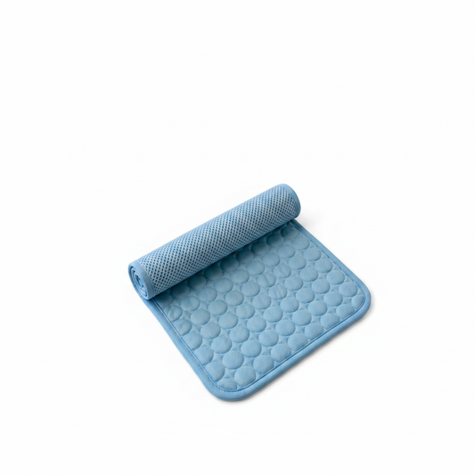 Tapis bleu fond blanc